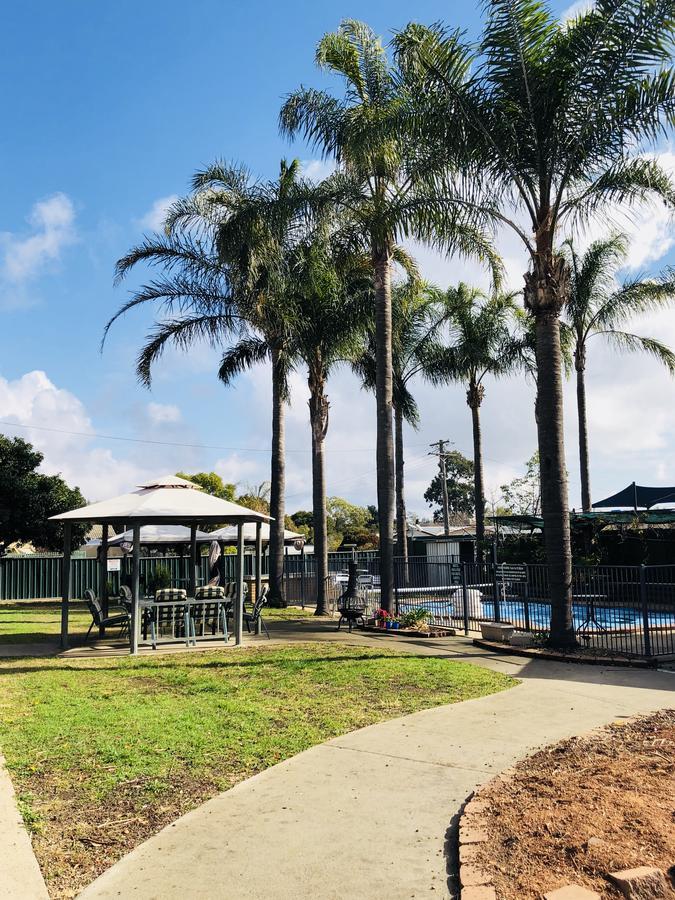 Tamworth Central Motel Экстерьер фото